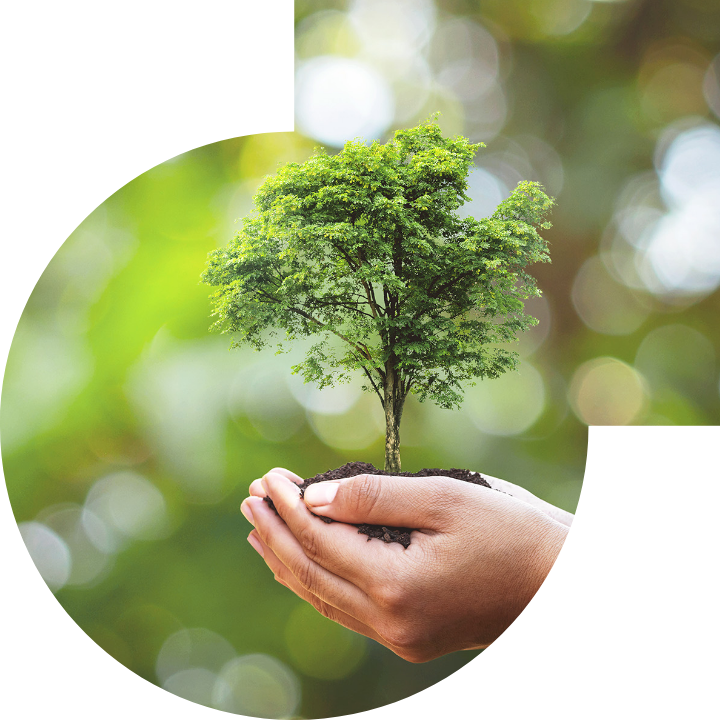 關懷人類、文化、環境與社會